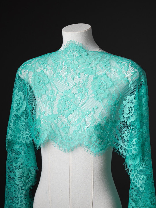 Кружево с ресничками Р417 (цена за купон 290см*31см)