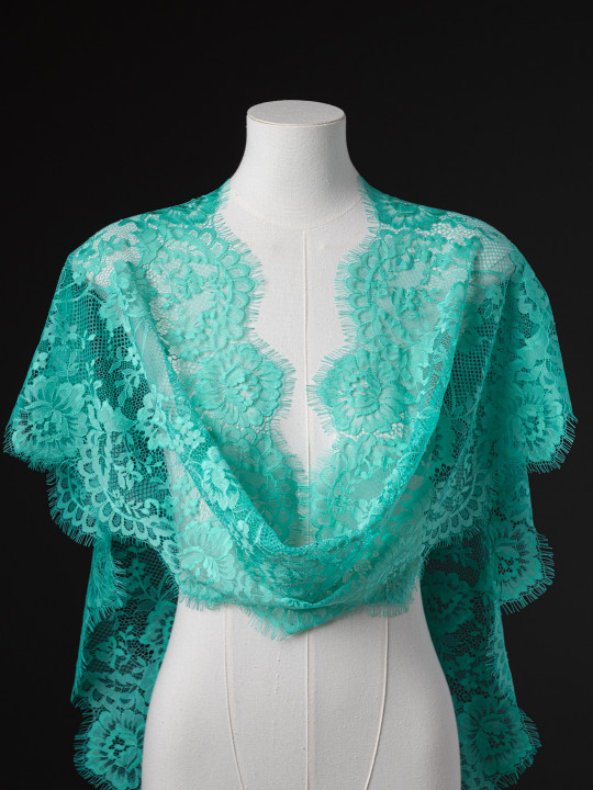 Кружево с ресничками Р417 (цена за купон 290см*31см)