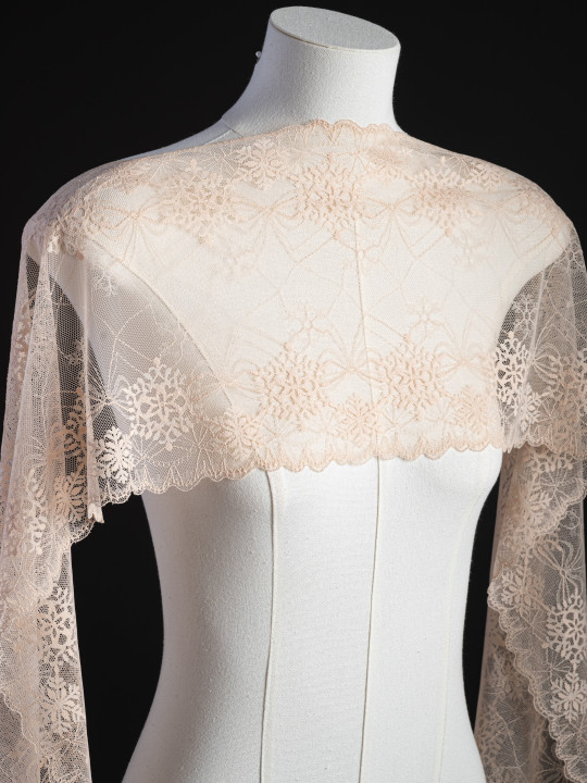 Эластичное кружево Э706п цвет бежевый