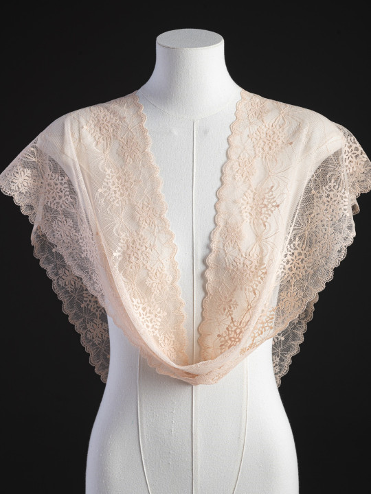 Эластичное кружево Э706п цвет бежевый