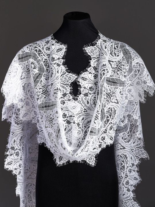 Кружево с ресничками шантильи Р421 (цена за купон 290см*32см) белый